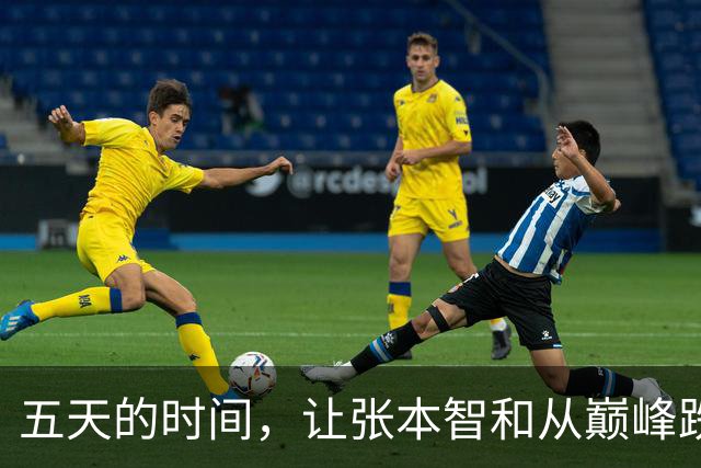 五天的时间，让张本智和从巅峰跌入争议漩涡